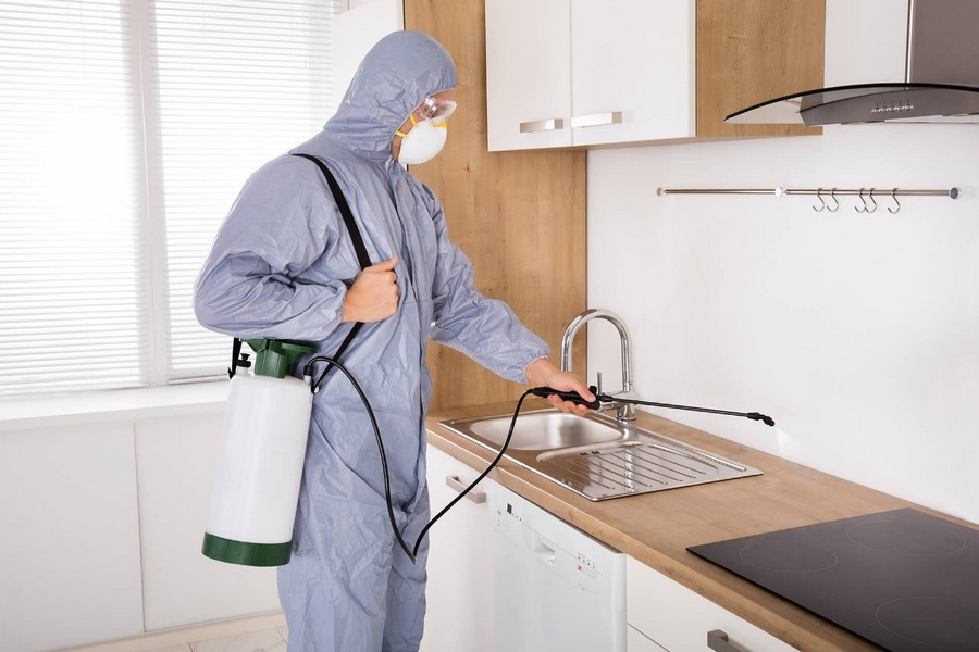 Signs You Need a Professional Dust Mite Cleaning Company
